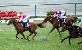 T.M. Opera-O holds off Rascal Suzuka for Tenno-sho win+